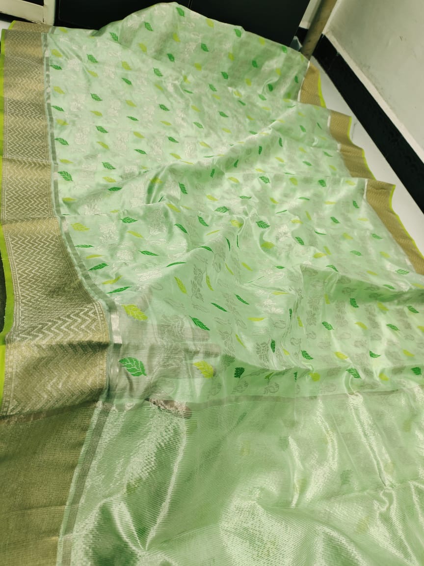 Handwoven Gold Pastel Mint Green with All Over leaf and Golden Zari Border Chanderi Pattu Silk Saree - Authentic Chanderi silk sarees Chanderi Saree